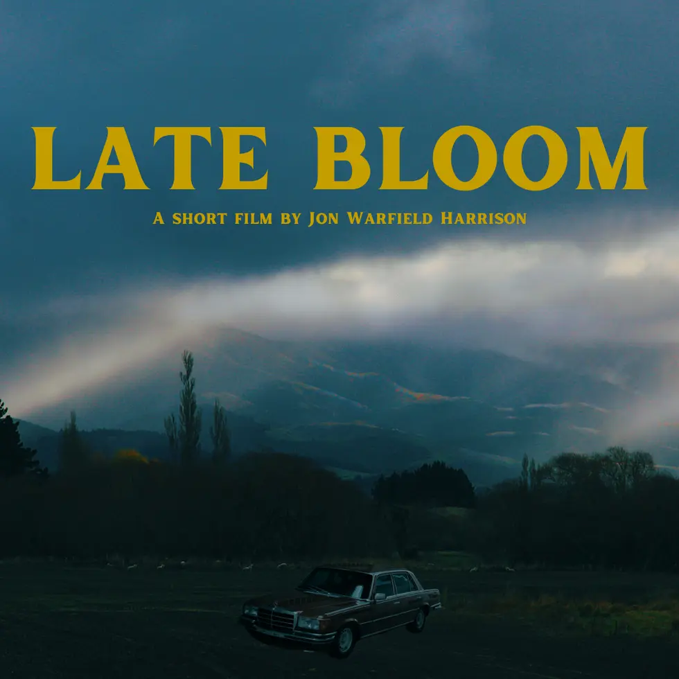 LATE+BLOOM