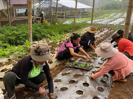 Exploring the Farming Experience at Alomah's Place and Nature Park: A Closer Look at Hands-On Activities