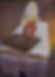 The Secret Language.jpg