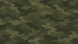 Premium Olive Woodland Camouflage Texture.png