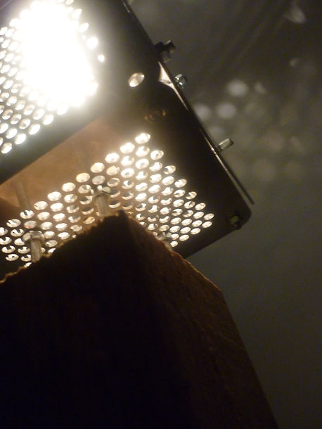 P1010619.JPG
