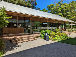 資産の管理能力は何歳まで維持できる?