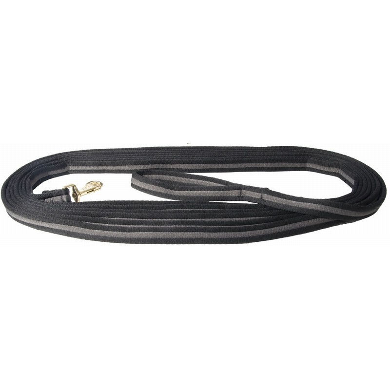 Thumbnail: TdeT Lunge Line