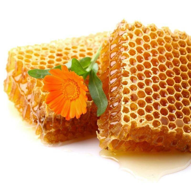 Thumbnail: Equidae Heal & Restore Wound Plus 95g