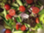 Mixed Side Salad