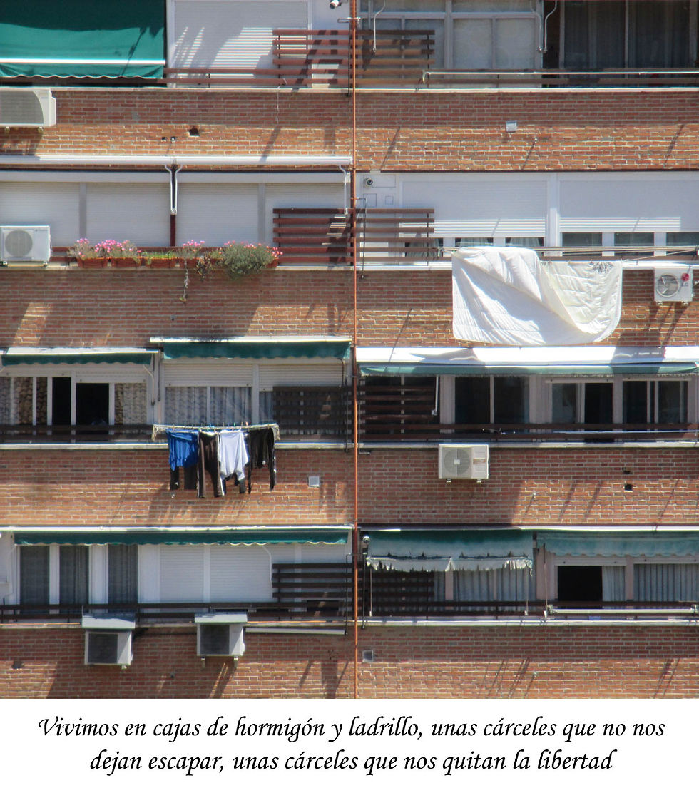 1 de Mayo de 2014