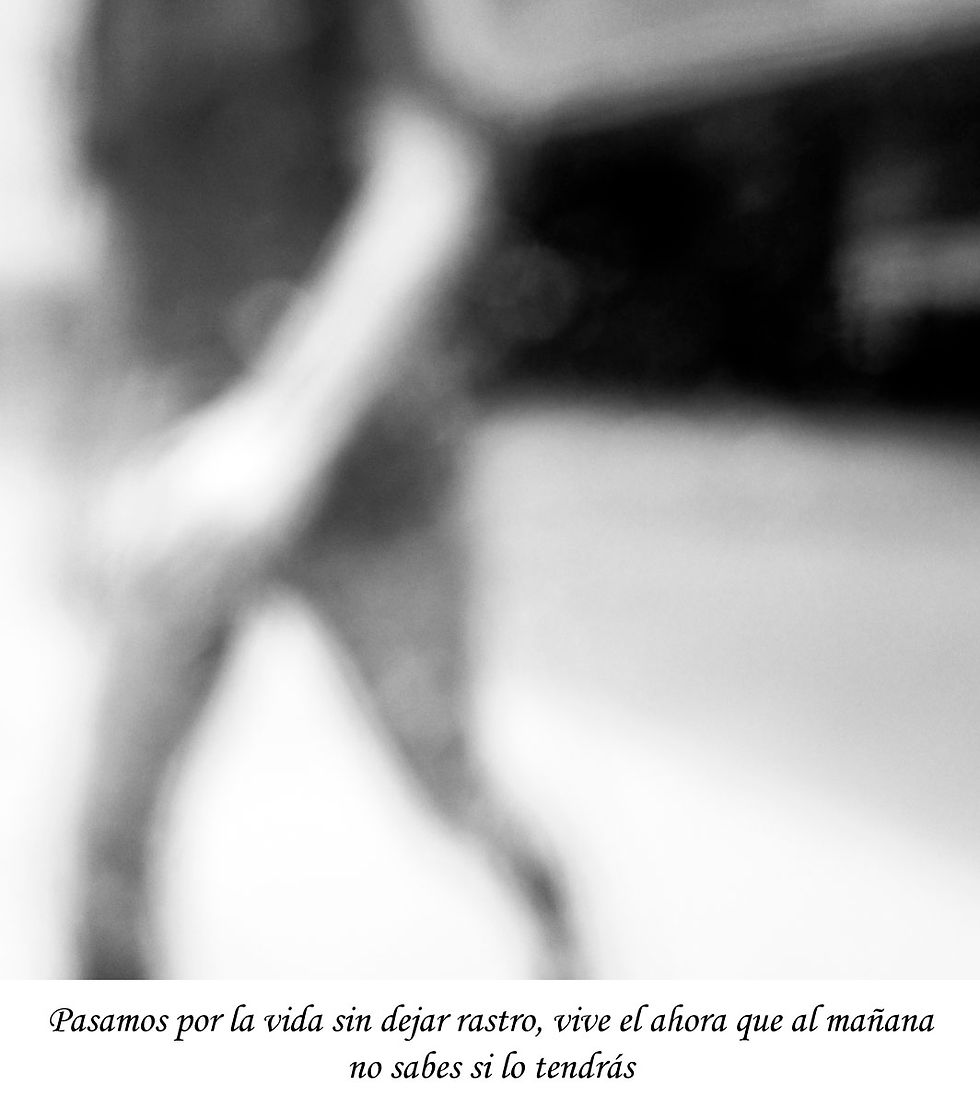 20 de Junio de 2014