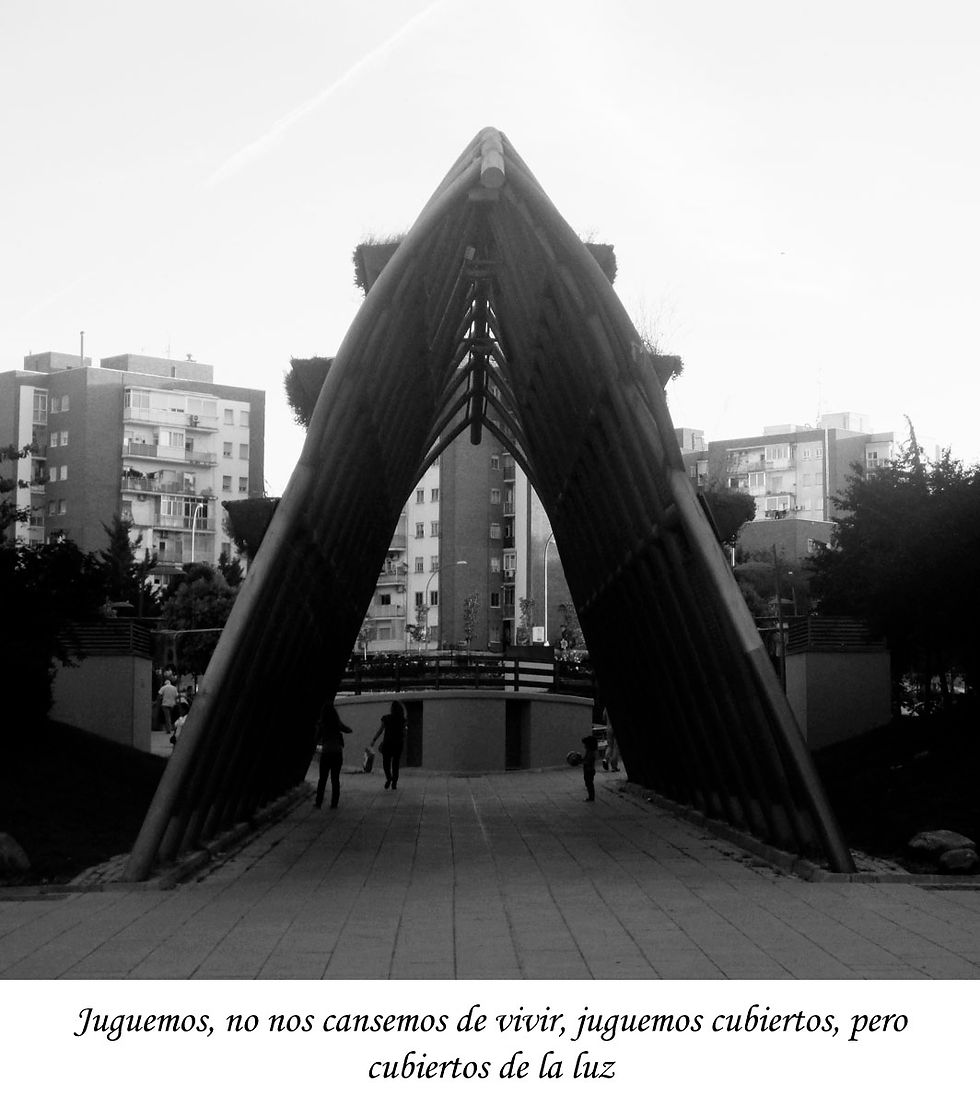 11 de Mayo de 2014
