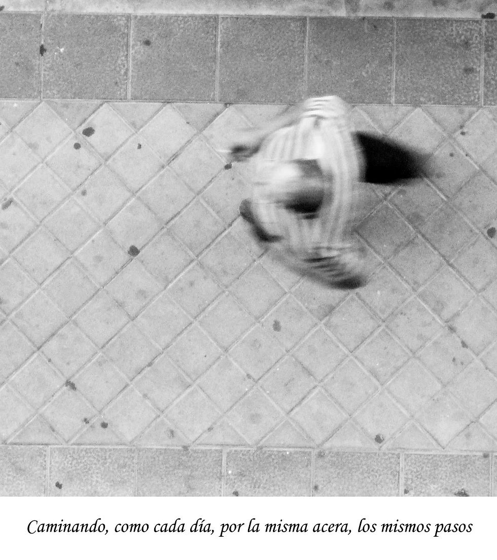 16 de Julio de 2014