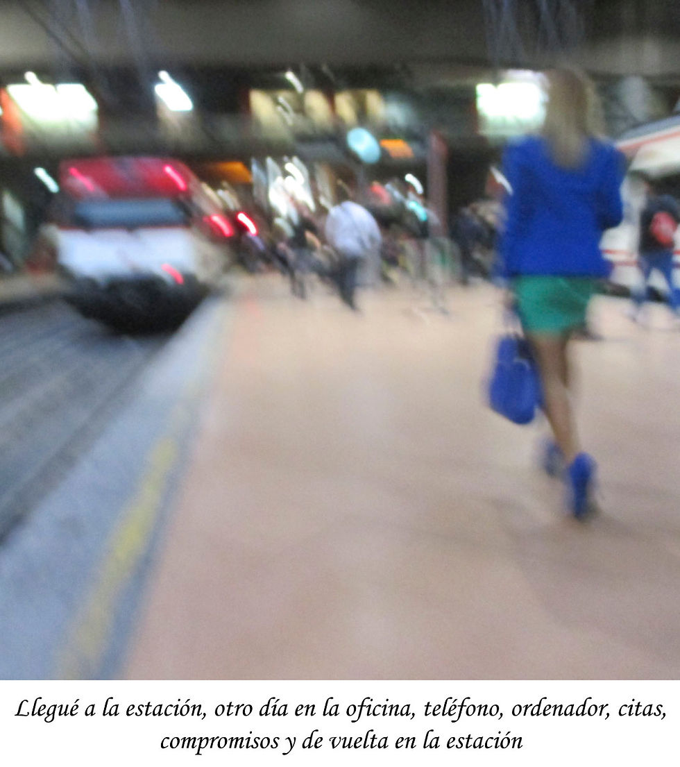 29 de Abril de 2014