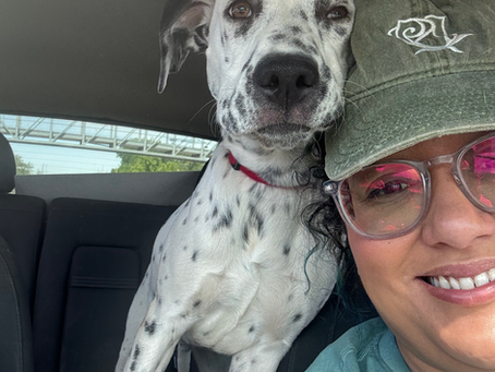UPDATE: Valentine has been Adopted!