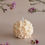 Miniature : FLOWER BALL