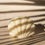 Miniature : SEASHELL