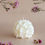 Miniature : FLOWER BALL