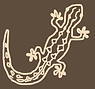 jewelled gecko.jpeg