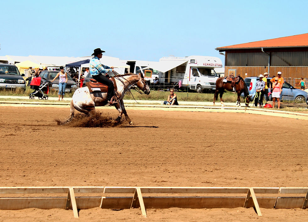 Not a Pawnee Pony