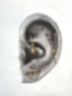 Charcoal drawing of a left ear styling featuring gold and soft pastel accents.