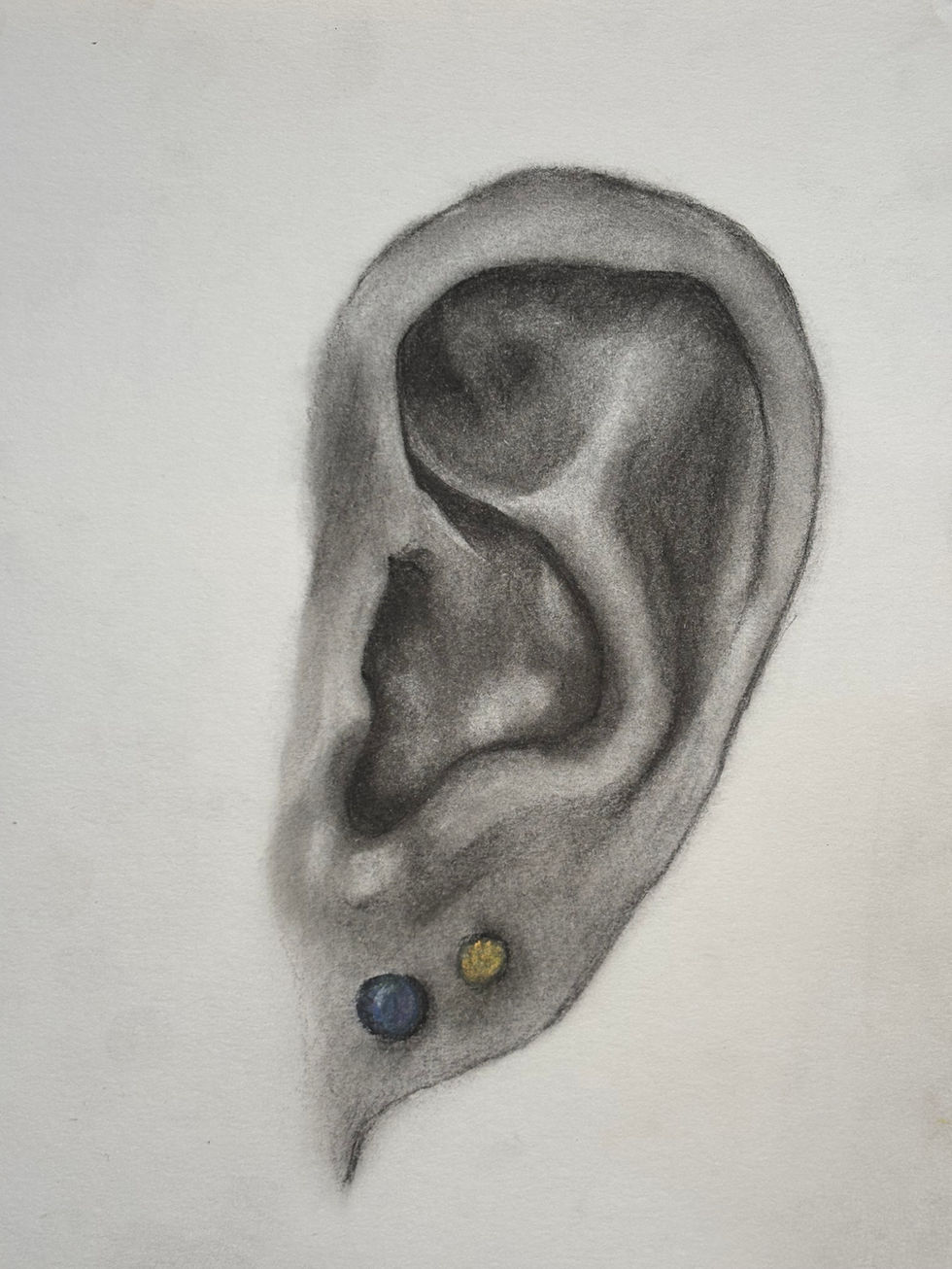 A charcoal drawing of a left ear (right-facing) with two lobe piercings