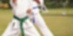 green belt certification program wave