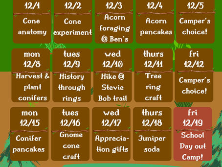 graphic of the afterschool schedule for the month