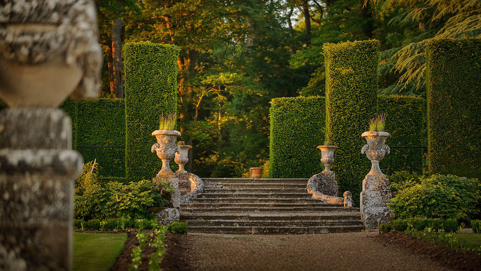 WEB-Château de Valmer juin 2017 _Leonard de Serres (24).jpg
