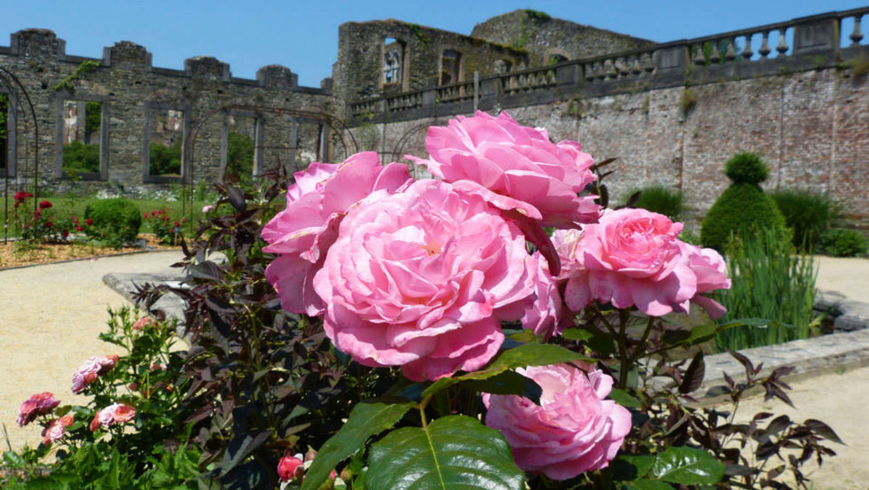 L’abbaye de Villers
Photo DR