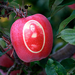 Les voûtes soutenant la terrasse, à l’extrémité sud-est du jardin. Printemps 2020 © Ol