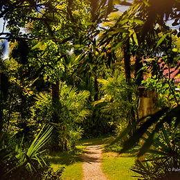 Les voûtes soutenant la terrasse, à l’extrémité sud-est du jardin. Printemps 2020 © Ol