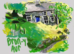 Bron Y Aur Painting And History