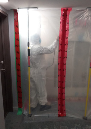 mold-remediation-image-1.jpeg