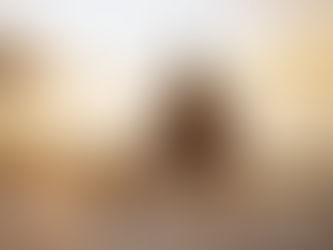 Man in wheelchair holding a ball with dog by a serene beach at sunset. 