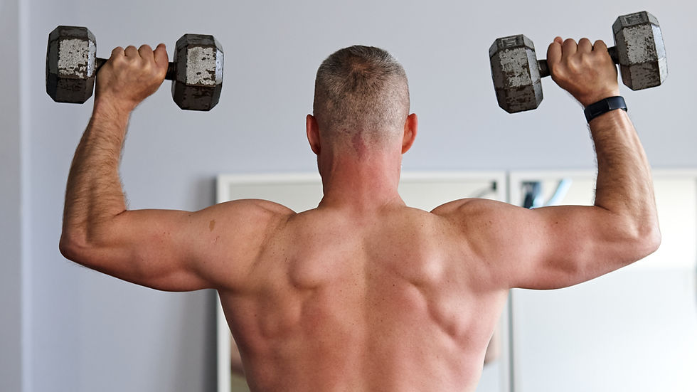 Body Recomposition