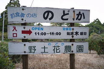 屋久島ランチ・のどか