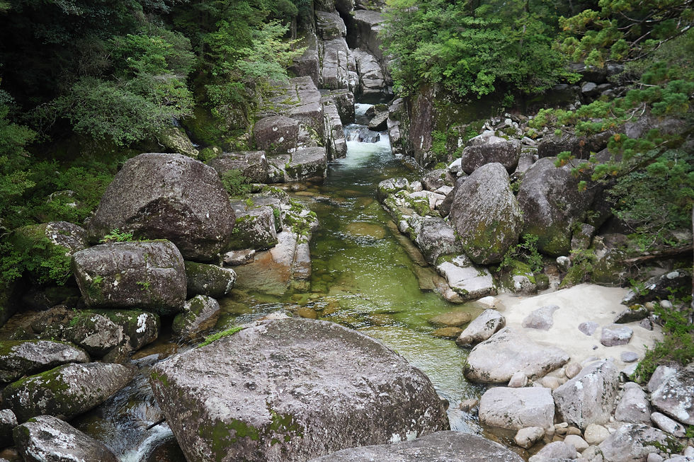 吊り橋からの眺め。