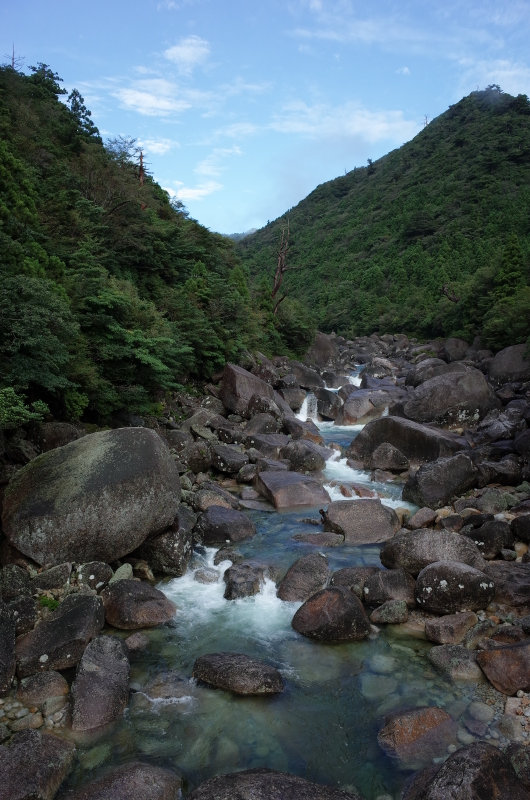 貴重な晴れ間の屋久島縄文杉ガイドツアー