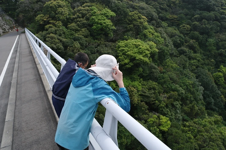 屋久島松峯大橋からの眺め
