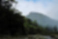 屋久島シャクナゲ登山