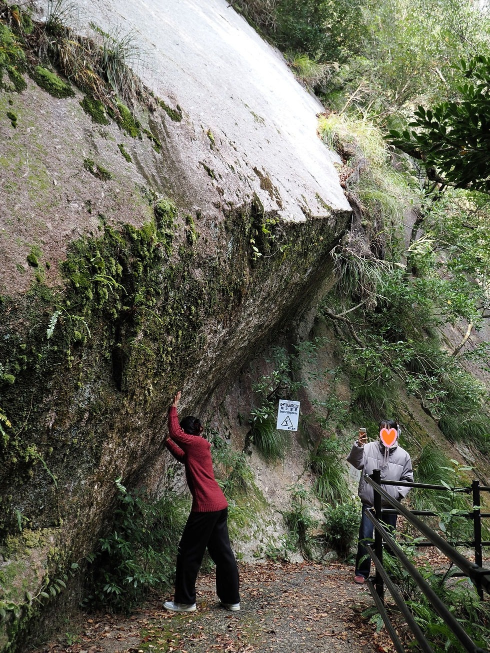 屋久島観光千尋の滝