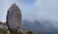 屋久島太忠岳登山ガイドツアー