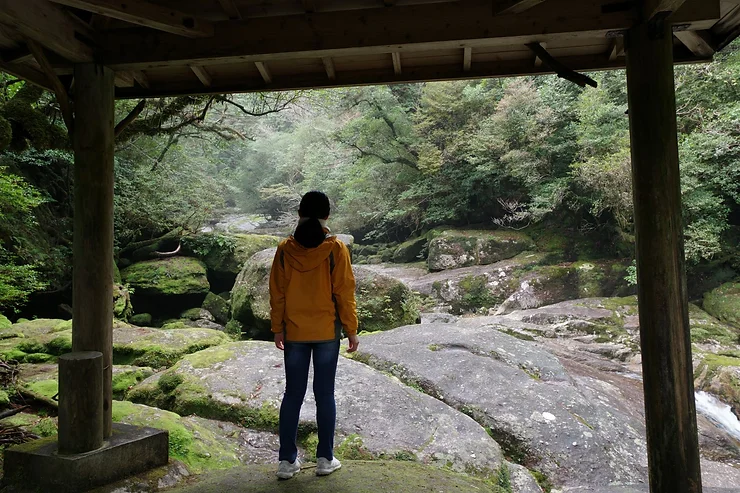 子供連れ屋久島ガイドツアー