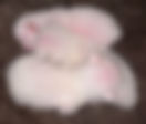 1 week.jpeg