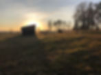 Barn, field, sunrise