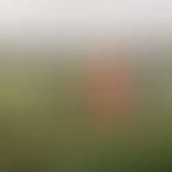 Preparing for the rollercoaster of summer (amidst a global pandemic, AGAIN!)