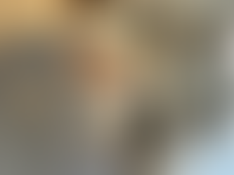 The Value of In-House Craftsmanship vs. the Flexibility of Subcontracting in the Painting Industry