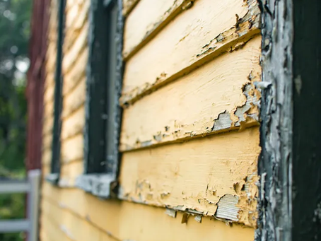 Why Some Paint Jobs Last and Others Peel: The Secrets Behind Long-Lasting Exterior Paint