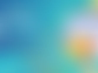 Speed Up and Secure Gravity Forms on WordPress