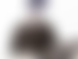 Content Planning Tips for a Successful WordPress Blog