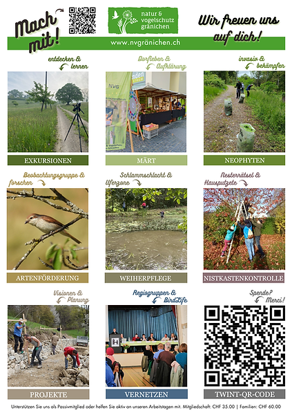 Flyer Mitgliederanwerbung.png