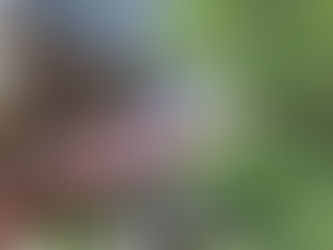 A Night at the Moxy Denver Cherry Creek | Colorado, USA