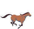 Running Horse 1.gif